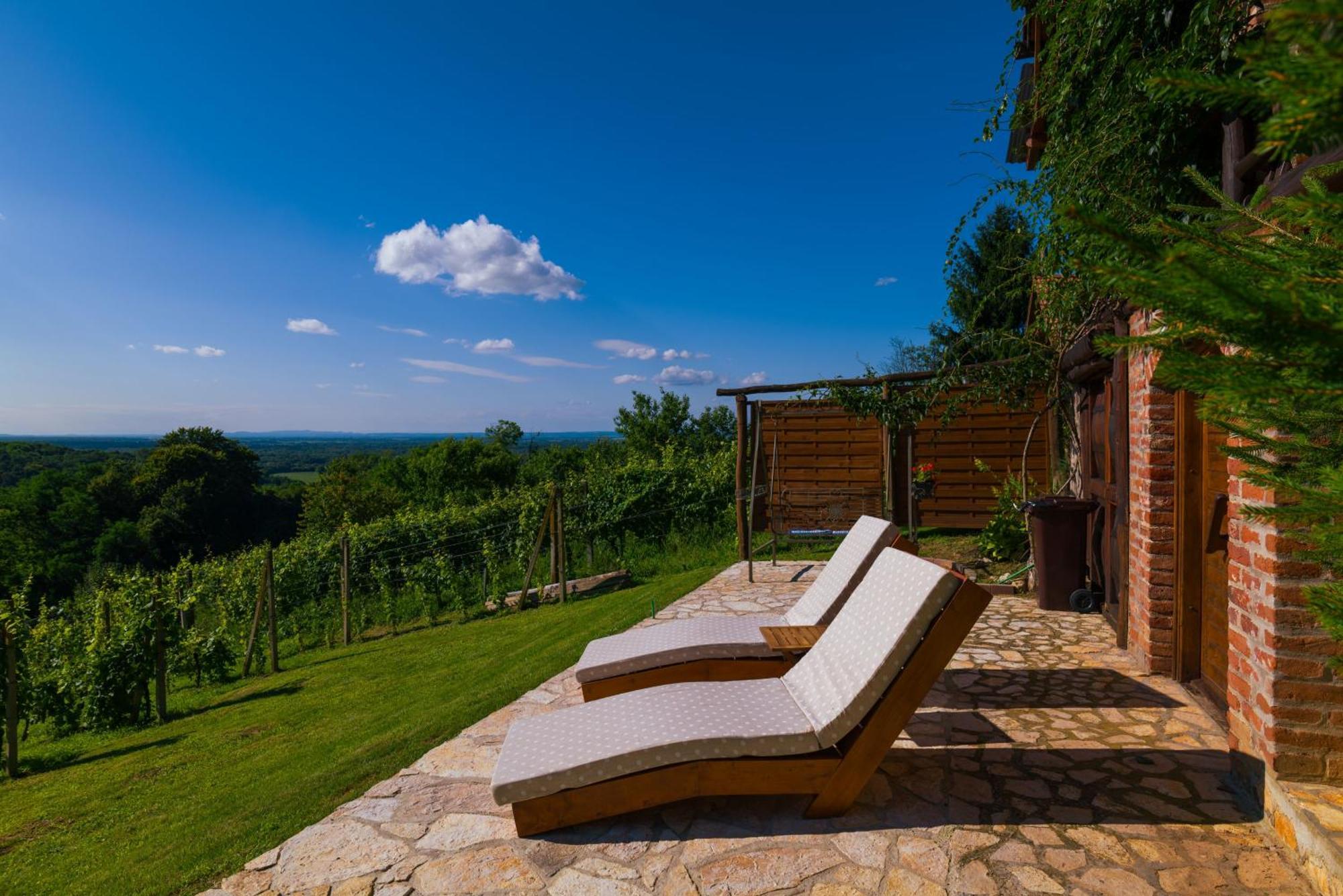 Holiday Home Wine & Relax Sveti Martin Na Muri Gornji Koncovcak Exterior photo
